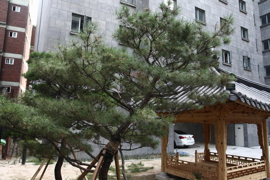 Fortune Hostel Jongno 首爾 外观 照片